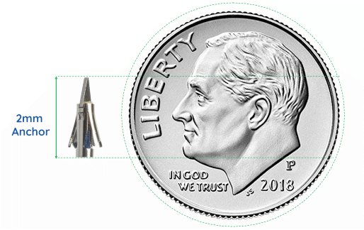 Image module